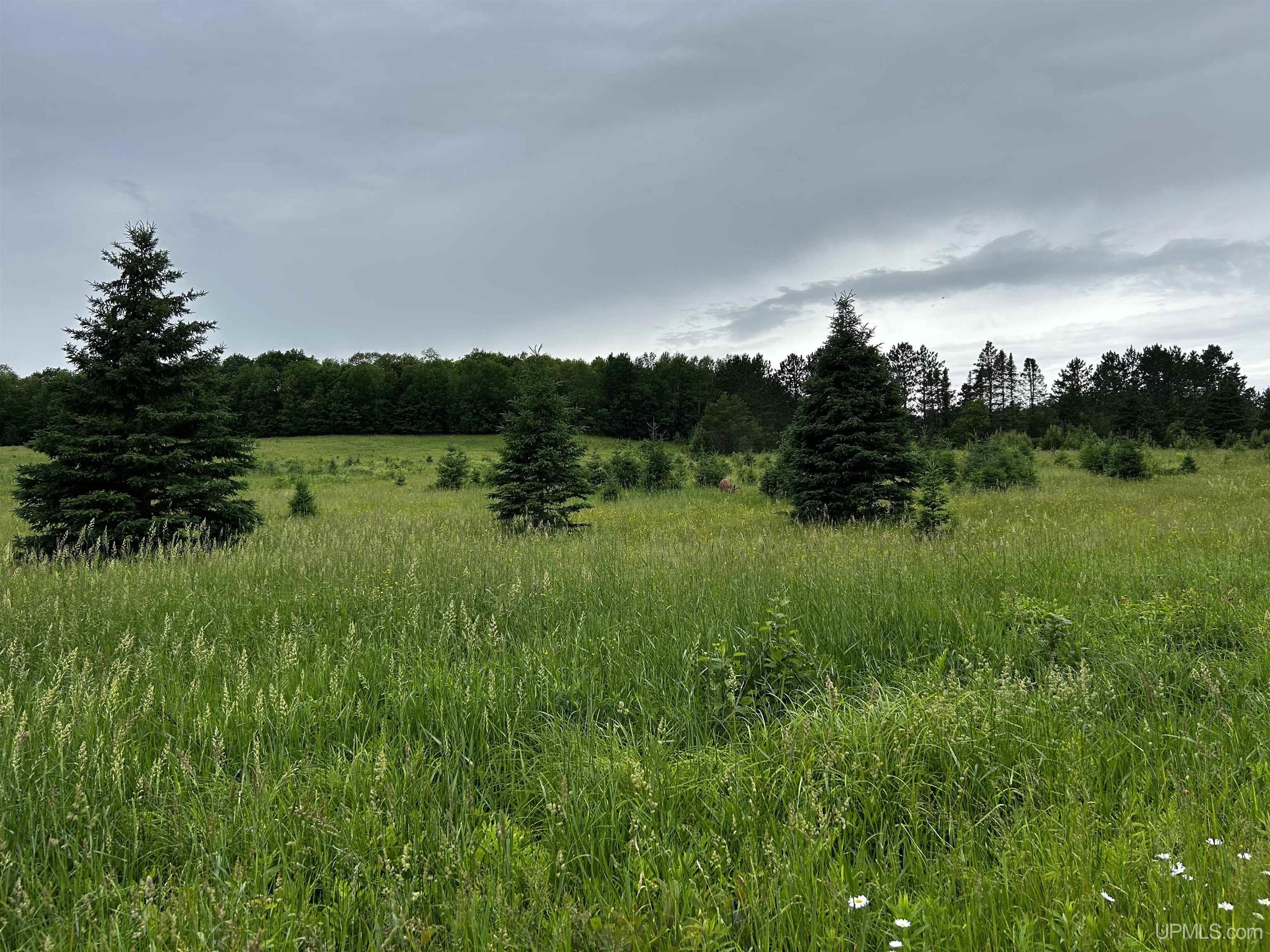 N8803 East End Road Ironwood, MI 49938 - Photo 57 of 64