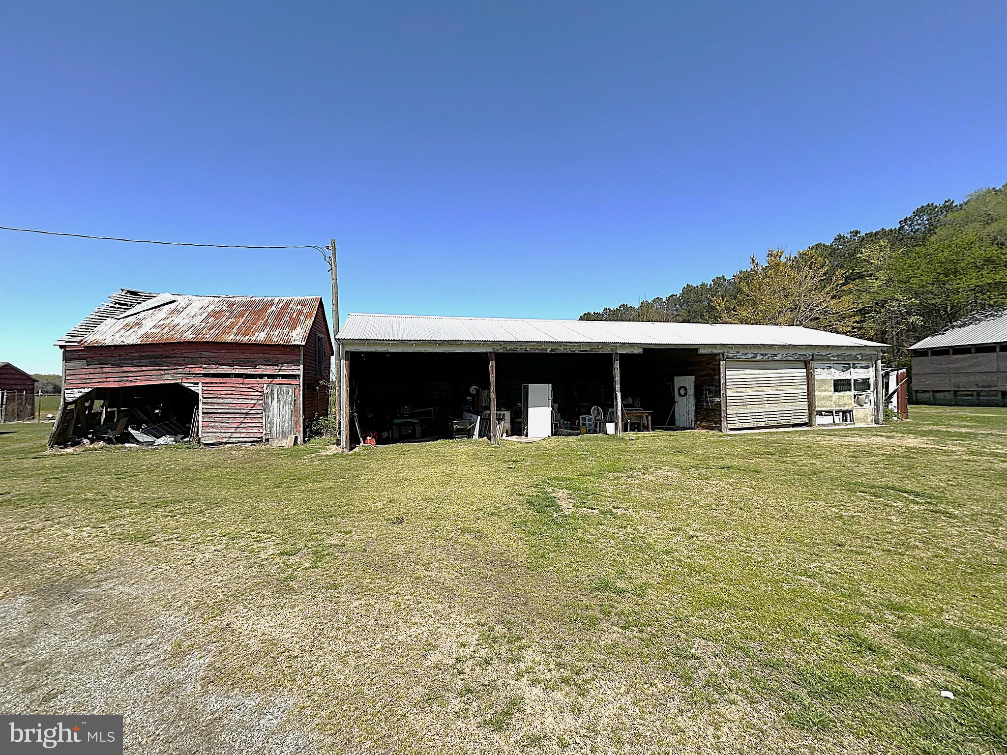 6637 Elton Dennis Road Willards, MD 21874 - Photo 25 of 25 Run-in Shed