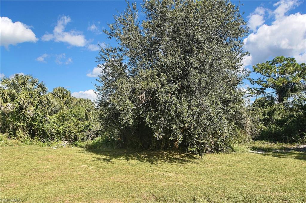 3306 1st Street Southwest Lehigh Acres, FL 33976 - Photo 42 of 47 a view of a yard