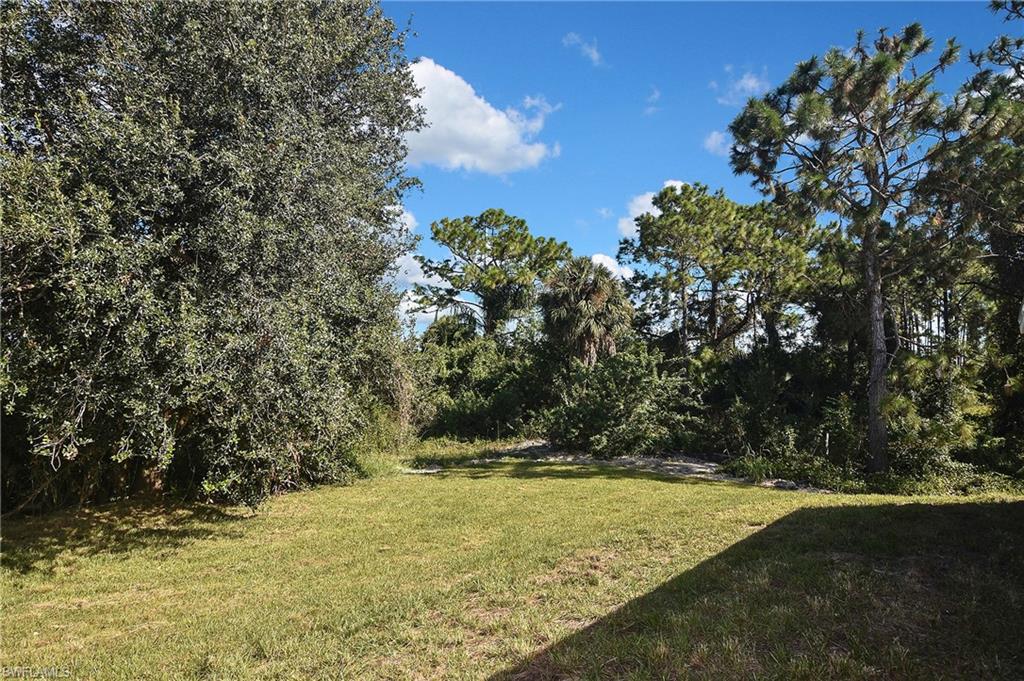 3306 1st Street Southwest Lehigh Acres, FL 33976 - Photo 43 of 47 a view of yard
