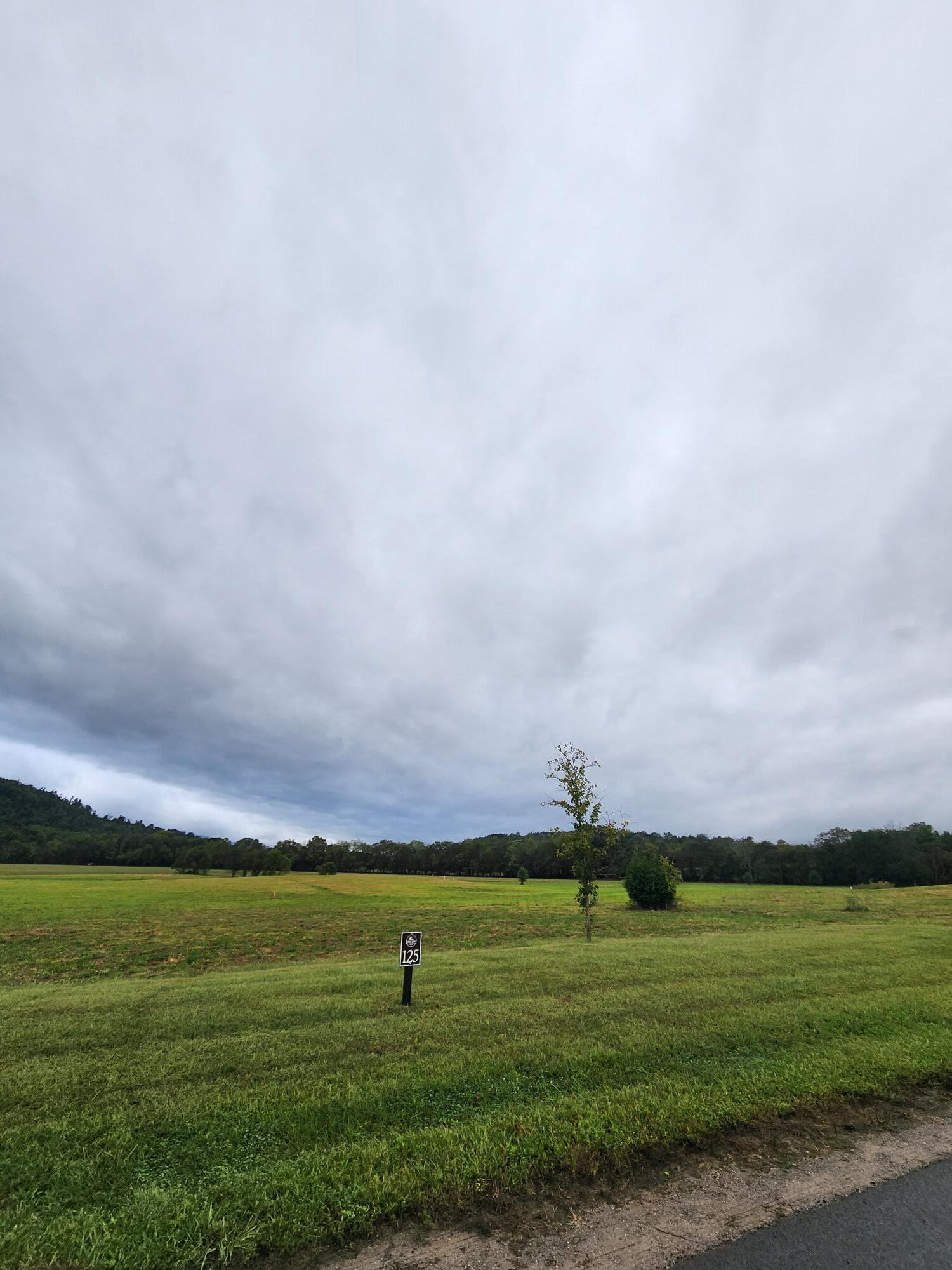 125 River Ridge Drive Dunlap, TN 37327 - Photo 2 of 11 Lot 125