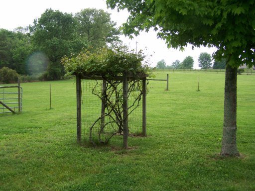 52 Steve Tabor Road Crossville, TN 38572 - Photo 23 of 32 Additional Photo