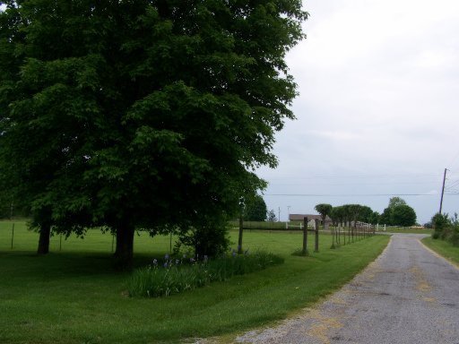 52 Steve Tabor Road Crossville, TN 38572 - Photo 26 of 32 Additional Photo
