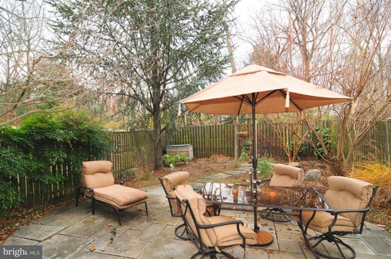683 Concerto Lane Silver Spring, MD 20901 - Photo 12 of 14 Back yard