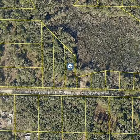 $25,000 | 37 Soap Stone Street, Webster, FL 33597