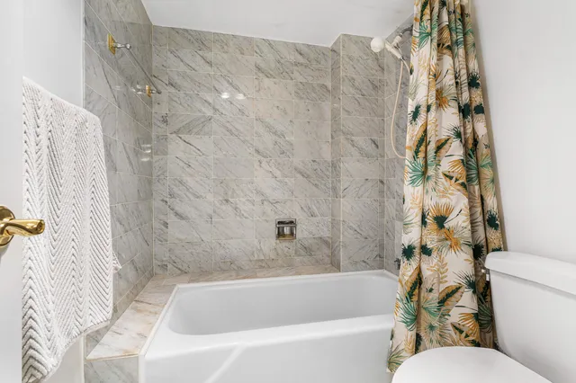 a bathroom with a toilet and a bathtub