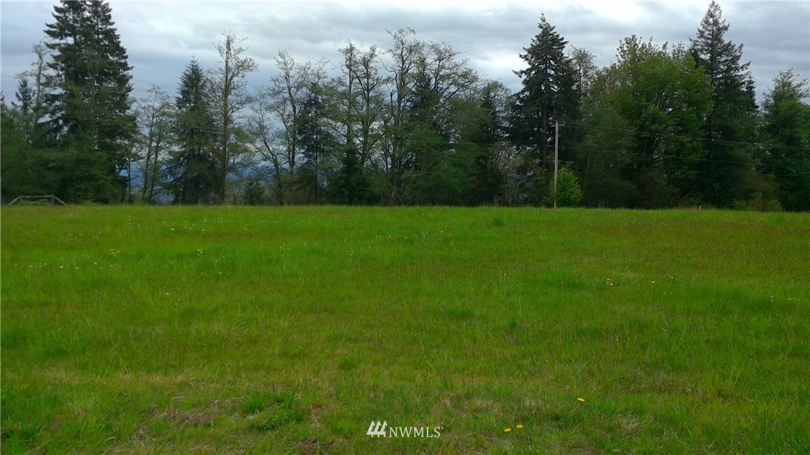 2 Burnt Ridge Road Onalaska, WA 98570 - Photo 1 of 8 Gallery Image 1