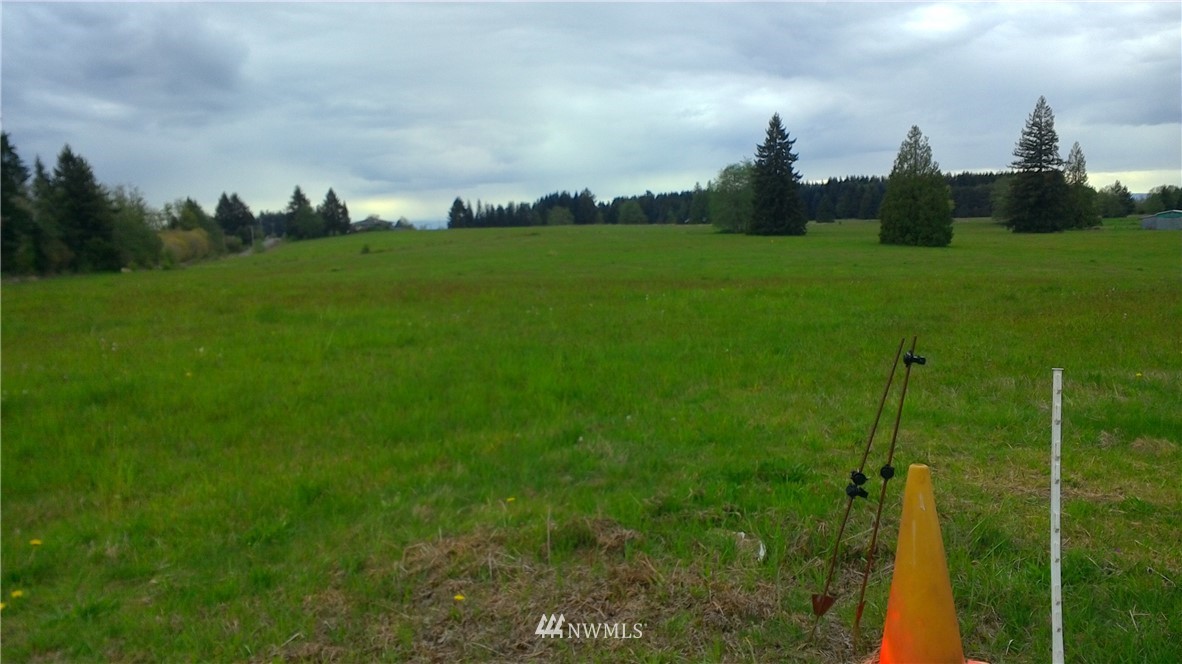 2 Burnt Ridge Road Onalaska, WA 98570 - Photo 3 of 8 Gallery Image 3