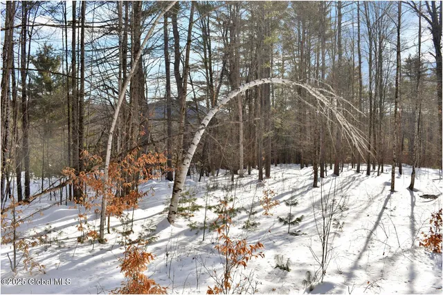 $79,500 | L92 Highview Lane, Unit LOT 8, North Creek, NY 12853