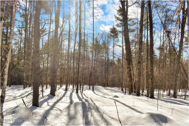 $79,500 | L92 Highview Lane, Unit LOT 8, North Creek, NY 12853