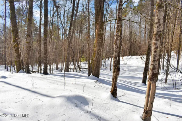 $79,500 | L92 Highview Lane, Unit LOT 8, North Creek, NY 12853