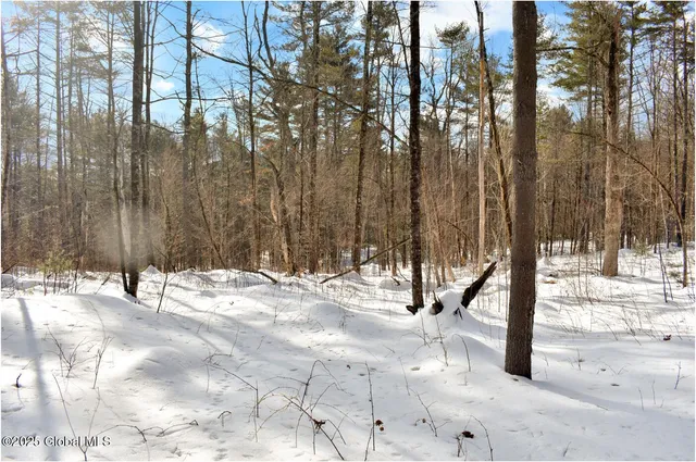 $79,500 | L92 Highview Lane, Unit LOT 8, North Creek, NY 12853