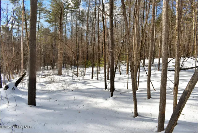 $79,500 | L92 Highview Lane, Unit LOT 8, North Creek, NY 12853