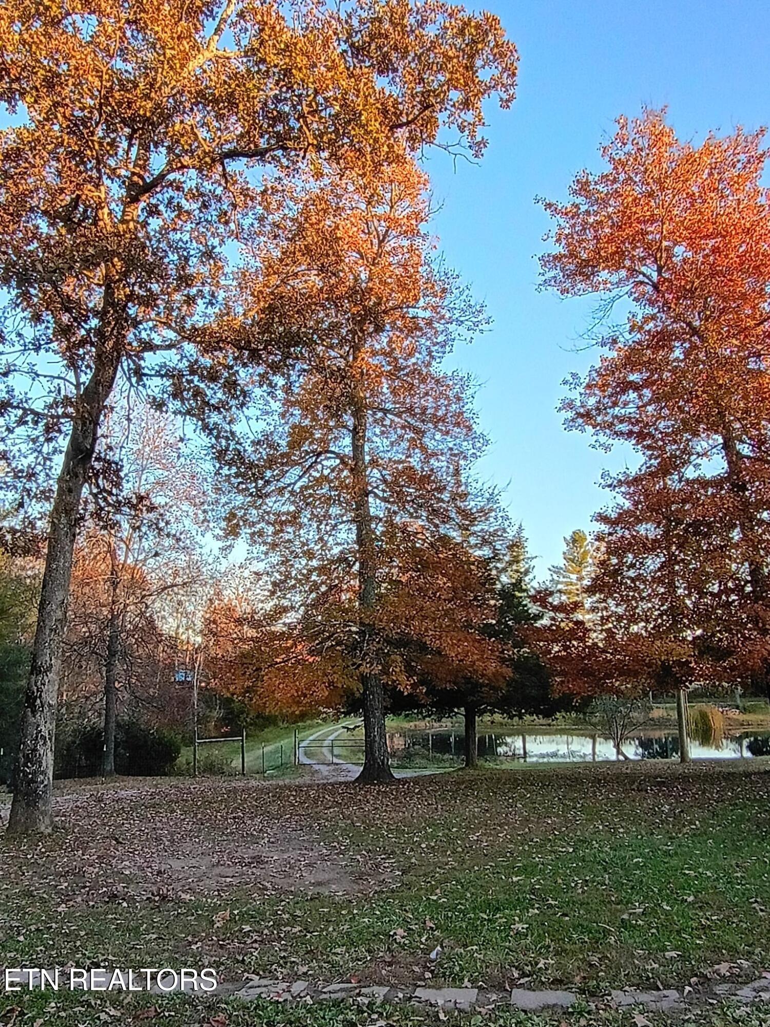 122 Frankfort Road Lancing, TN 37770 - Photo 45 of 60 Fall Pond