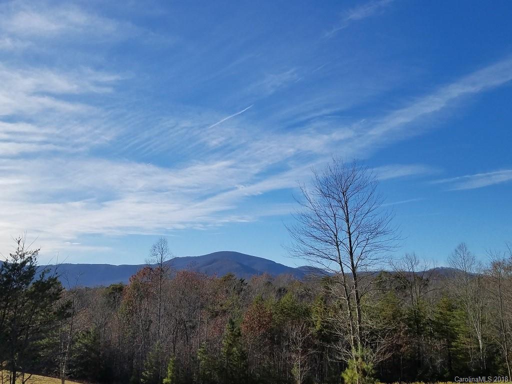 0 Loblolly Ln Mill Spring, Unit 14 Mill Spring, NC 28756 - Photo 11 of 14 a view of a city with lush green forest