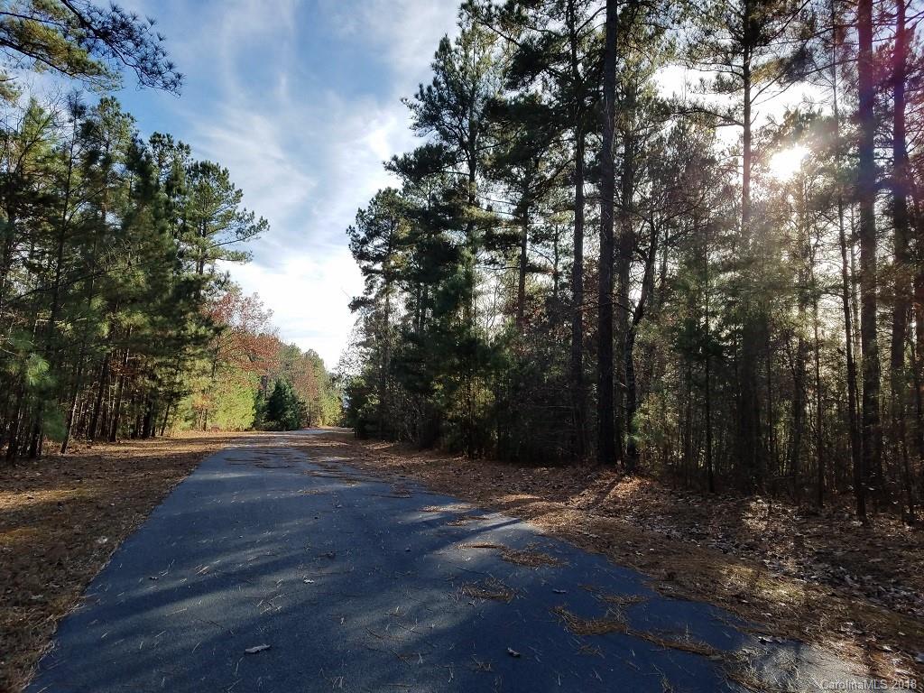 0 Loblolly Ln Mill Spring, Unit 14 Mill Spring, NC 28756 - Photo 12 of 14 a view of backyard with green space