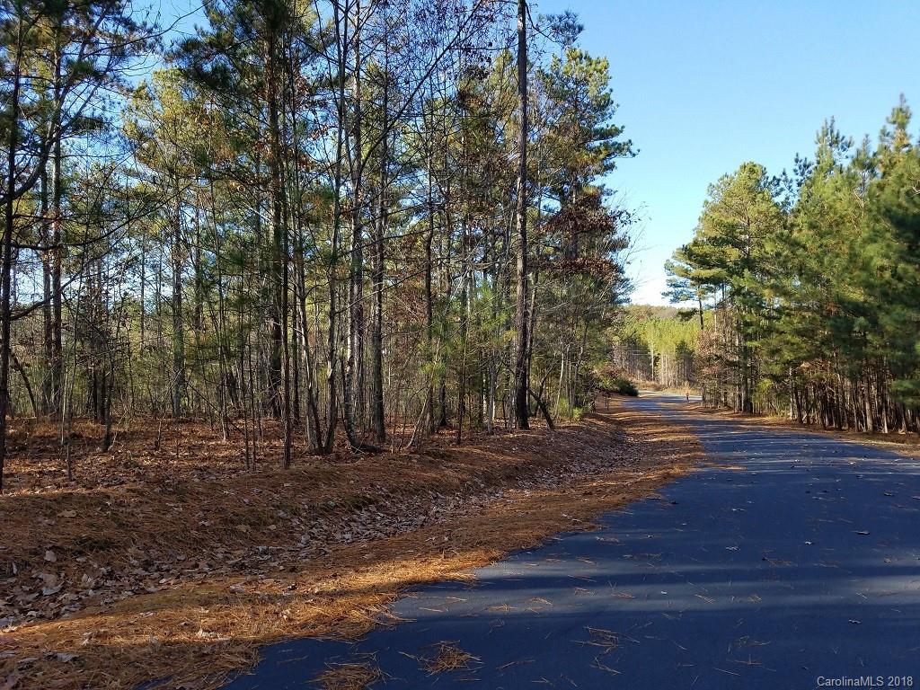 0 Loblolly Ln Mill Spring, Unit 14 Mill Spring, NC 28756 - Photo 13 of 14 a view of a backyard with large trees