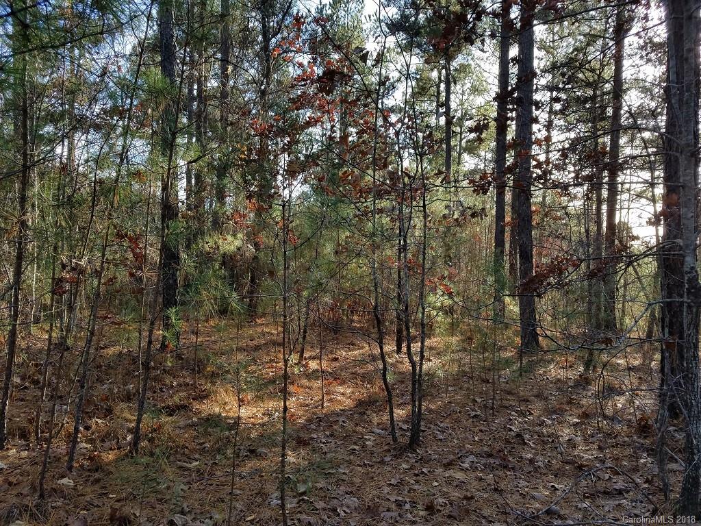 0 Loblolly Ln Mill Spring, Unit 14 Mill Spring, NC 28756 - Photo 14 of 14 a view of a forest with trees in the background