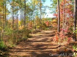 0 Loblolly Ln Mill Spring, Unit 14 Mill Spring, NC 28756 - Photo 3 of 14