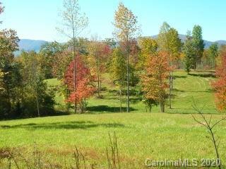 0 Loblolly Ln Mill Spring, Unit 14 Mill Spring, NC 28756 - Photo 5 of 14 a view of a garden