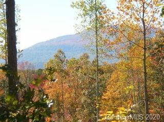 0 Loblolly Ln Mill Spring, Unit 14 Mill Spring, NC 28756 - Photo 6 of 14 a view of a field