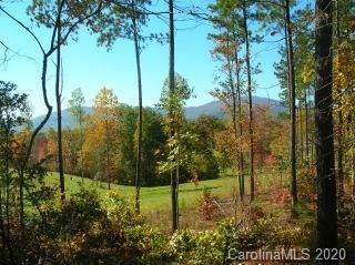 0 Loblolly Ln Mill Spring, Unit 14 Mill Spring, NC 28756 - Photo 7 of 14 a view of a garden