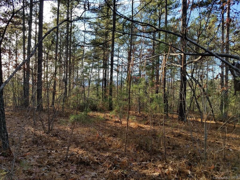0 Loblolly Ln Mill Spring, Unit 14 Mill Spring, NC 28756 - Photo 9 of 14 a view of a forest with trees in the background