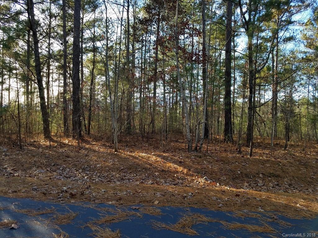 0 Loblolly Ln Mill Spring, Unit 14 Mill Spring, NC 28756 - Photo 10 of 14 a view of outdoor space with trees