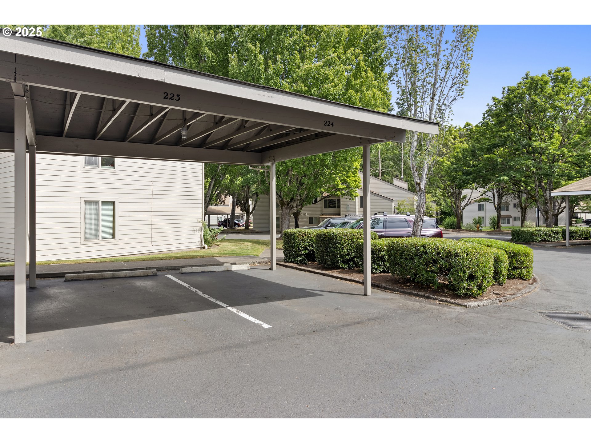 10137 Southwest Trapper Terrace Beaverton, OR 97008 - Photo 34 of 39 a backyard of a house with lots of green space