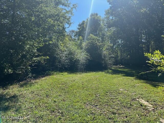 6748 Cockrum Road Olive Branch, MS 38654 - Photo 2 of 4 1