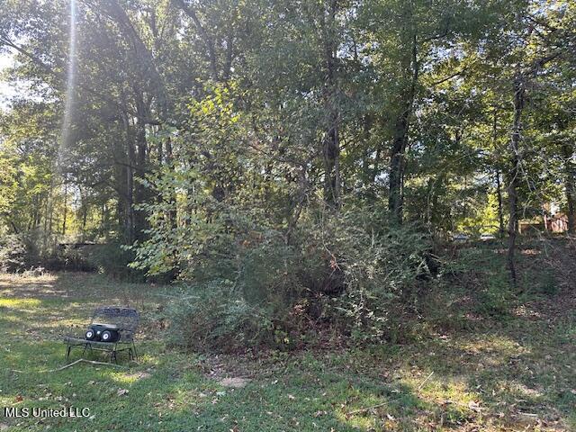 6748 Cockrum Road Olive Branch, MS 38654 - Photo 4 of 4 6148 Cockrum-Pic3