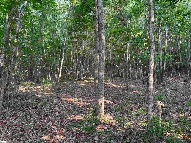 $1,081,168 | 201 Gibson Road, Easley, SC 29640