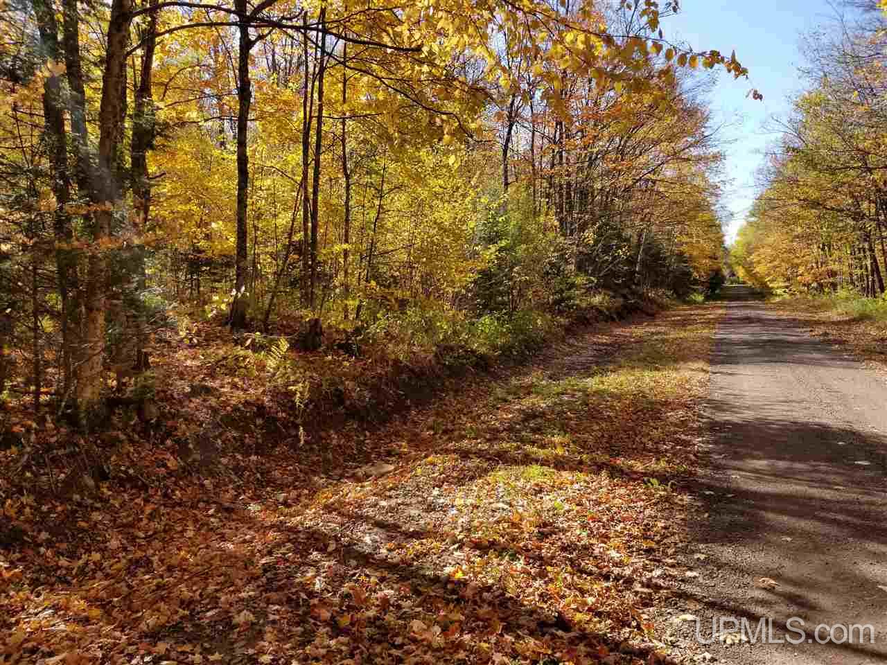 Tbd Tbd Rydeski Road Wakefield, MI 49968 - Photo 3 of 4