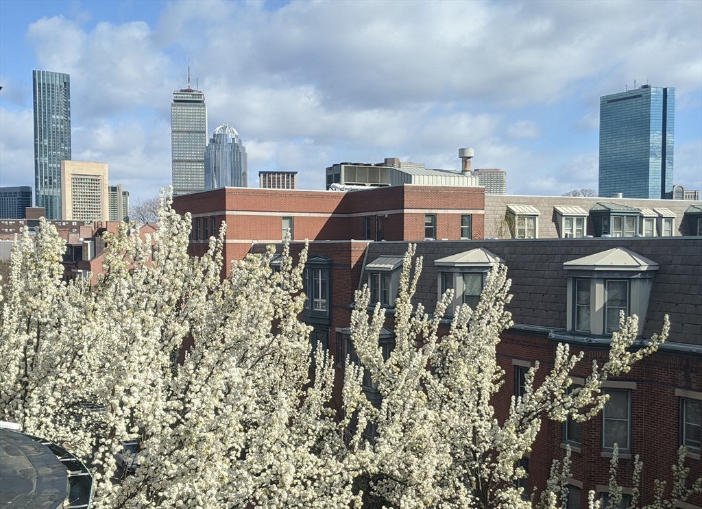 86 West Springfield Street, Unit 3 Boston, MA 02118 - Photo 38 of 39 a front view of a multi story residential apartment building with yard and parking space