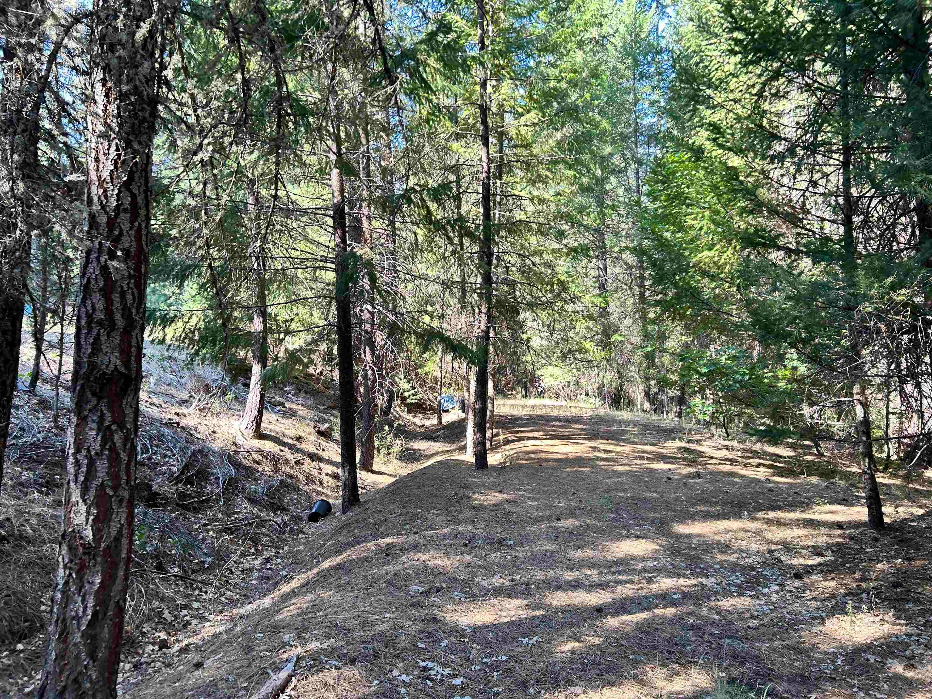 15.9-acres Tyler Gulch Road Fort Jones, CA 96032 - Photo 11 of 18 Gallery Image 11