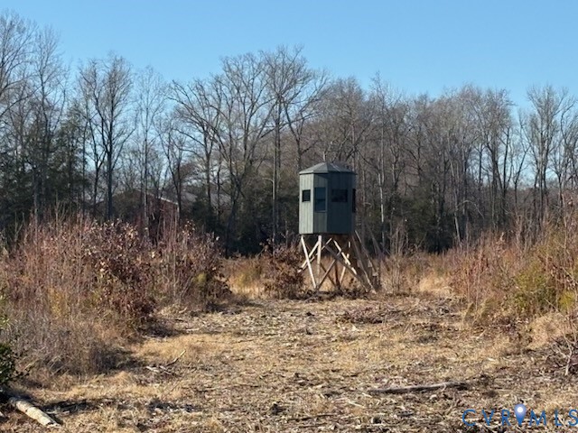 1020 Old New Castle Road Manquin, VA 23106 - Photo 3 of 5 a view of outdoor space and yard