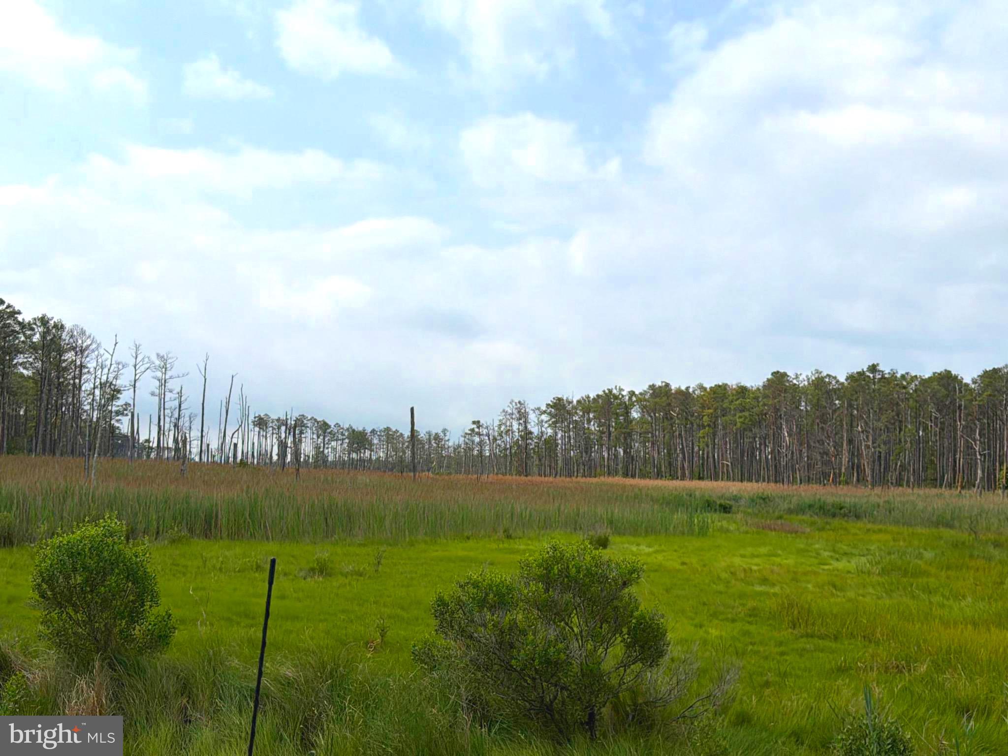 0 Hooper Neck Road Madison, MD 21648 - Photo 3 of 129