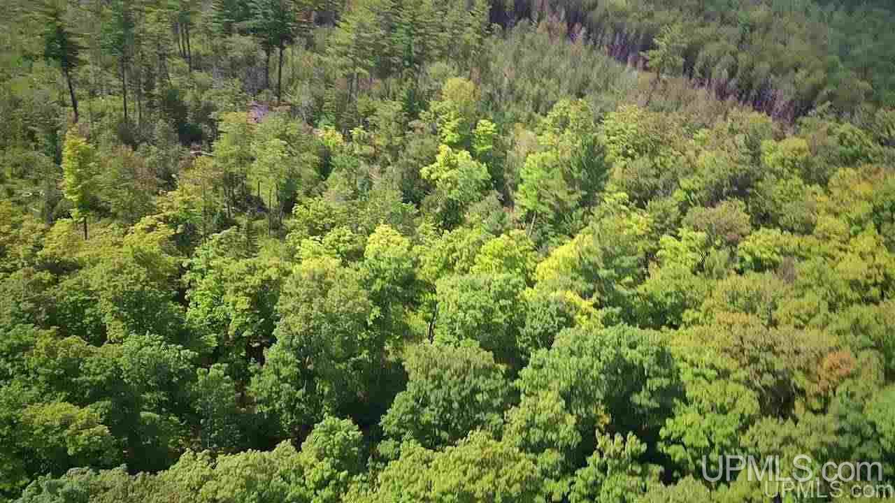 Tbd Sand Road, Unit 2 Powers, MI 49874 - Photo 5 of 38