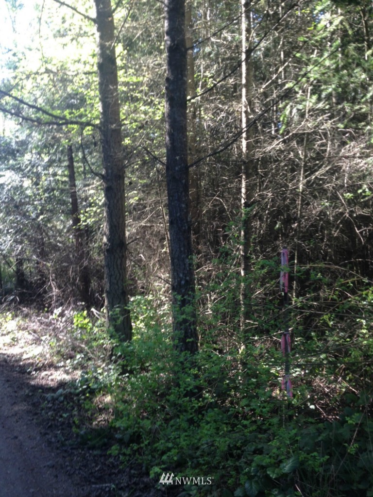 0 Haada Laas Road Port Townsend, WA 98368 - Photo 1 of 4 Gallery Image 1