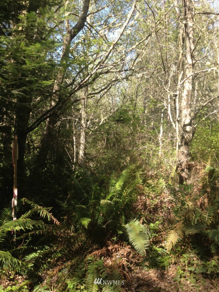 0 Haada Laas Road Port Townsend, WA 98368 - Photo 2 of 4 Gallery Image 2