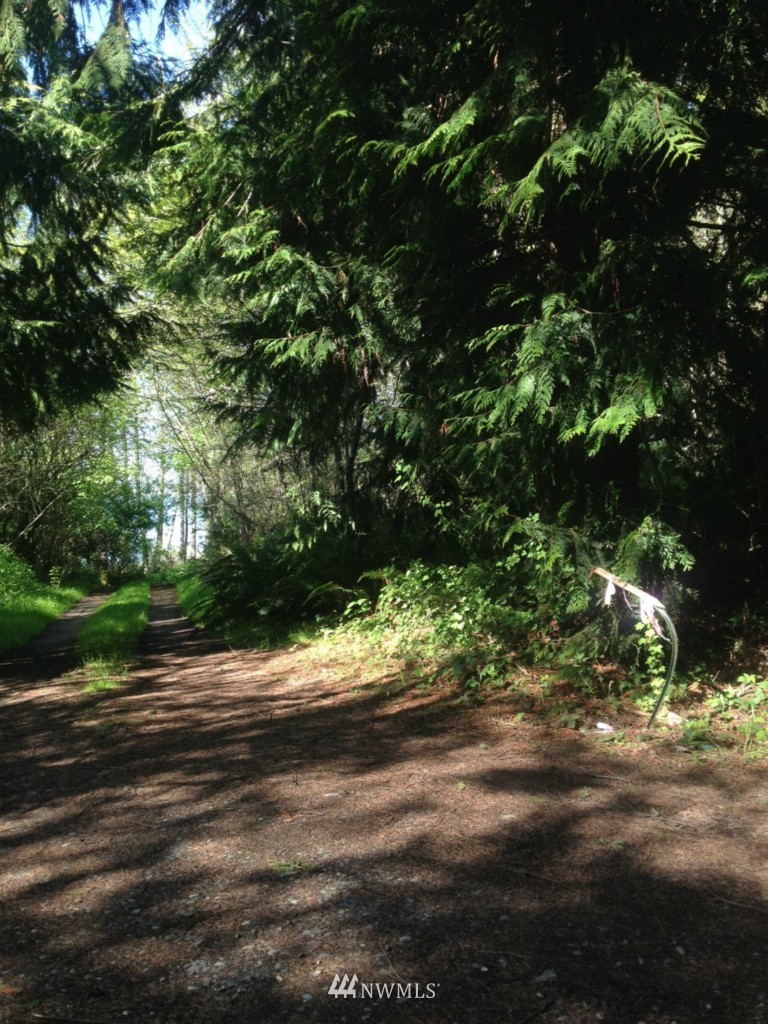 0 Haada Laas Road Port Townsend, WA 98368 - Photo 3 of 4 Gallery Image 3