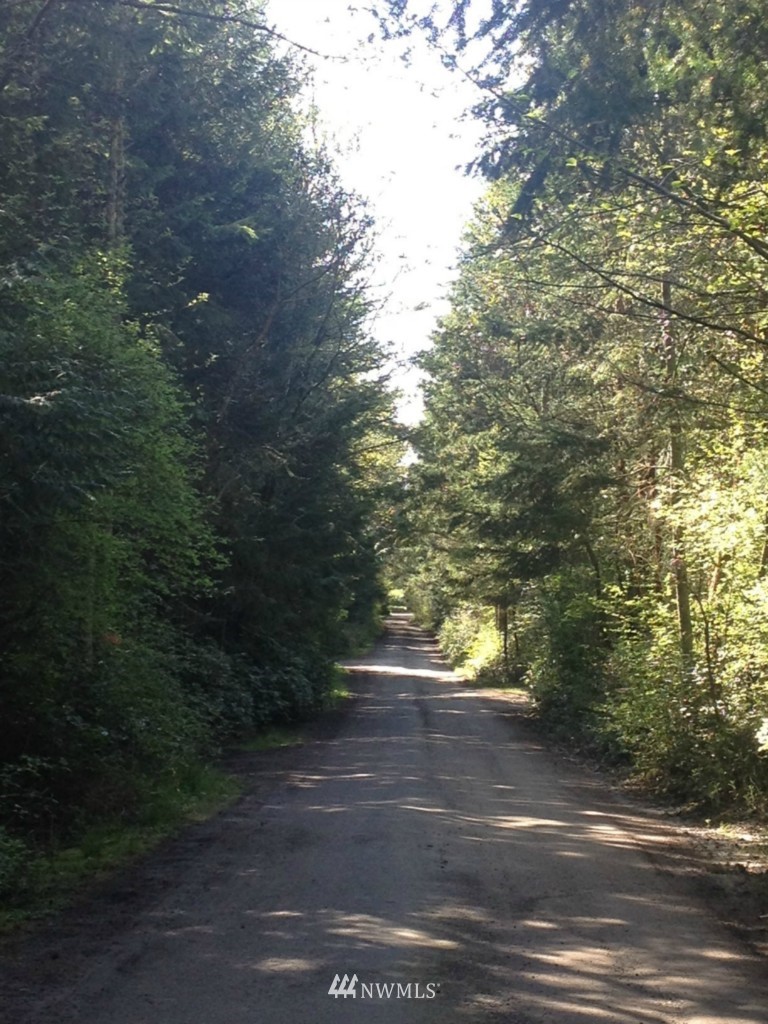 0 Haada Laas Road Port Townsend, WA 98368 - Photo 4 of 4 Gallery Image 4