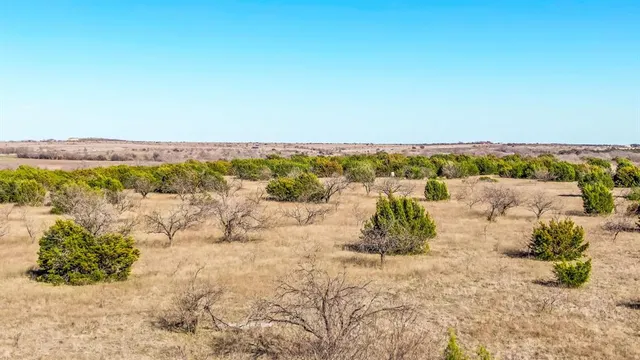 a view of a dry yard with wooden fence