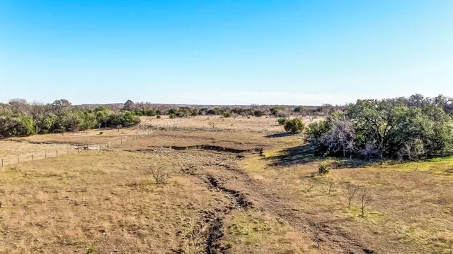 a view of a yard with an trees