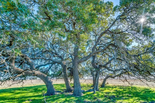 a view of a city and ocean view
