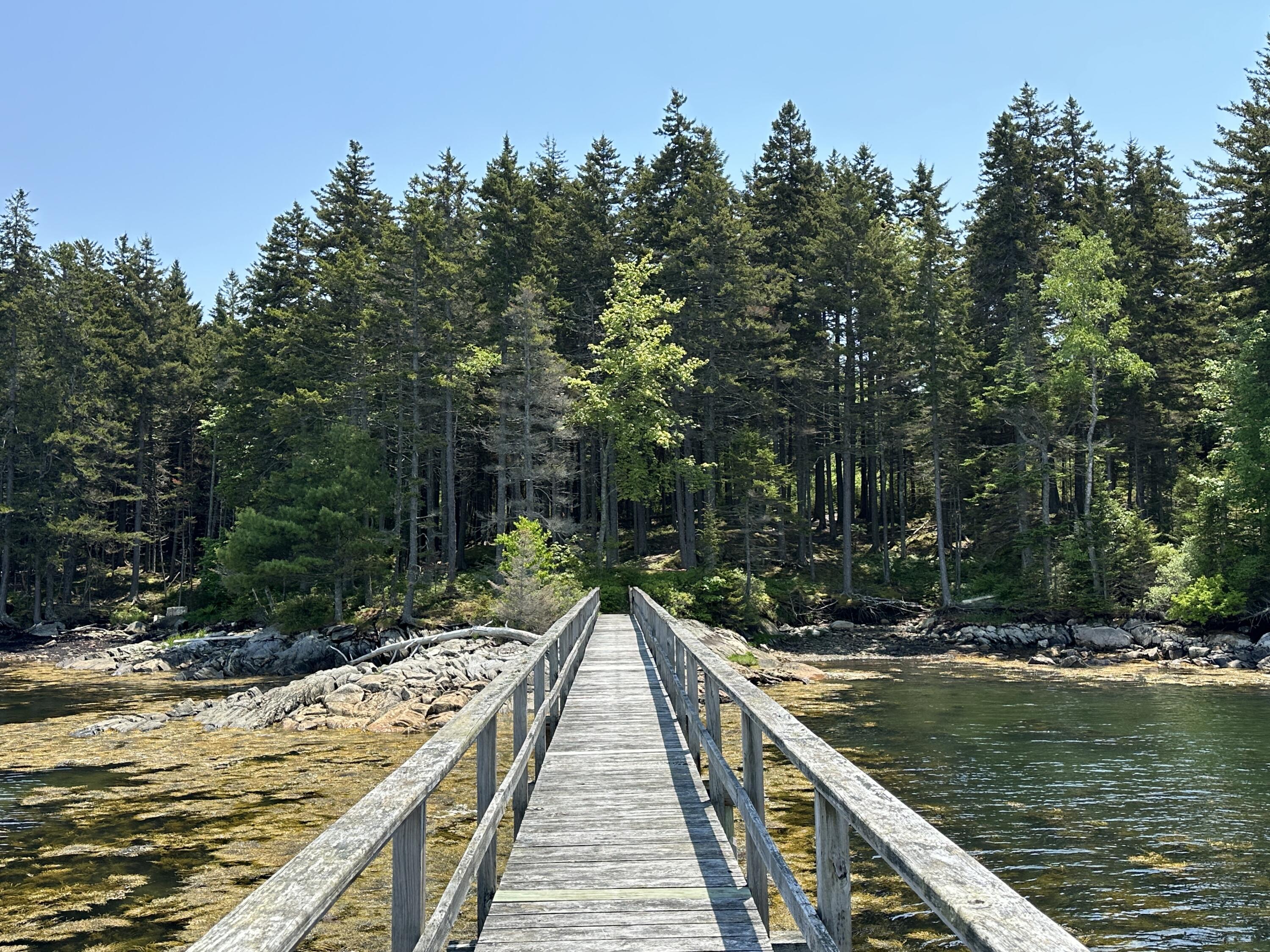 Lot 5 Waymouth Road Tenants Harbor, ME 04860 - Photo 19 of 56 Shared Dock
