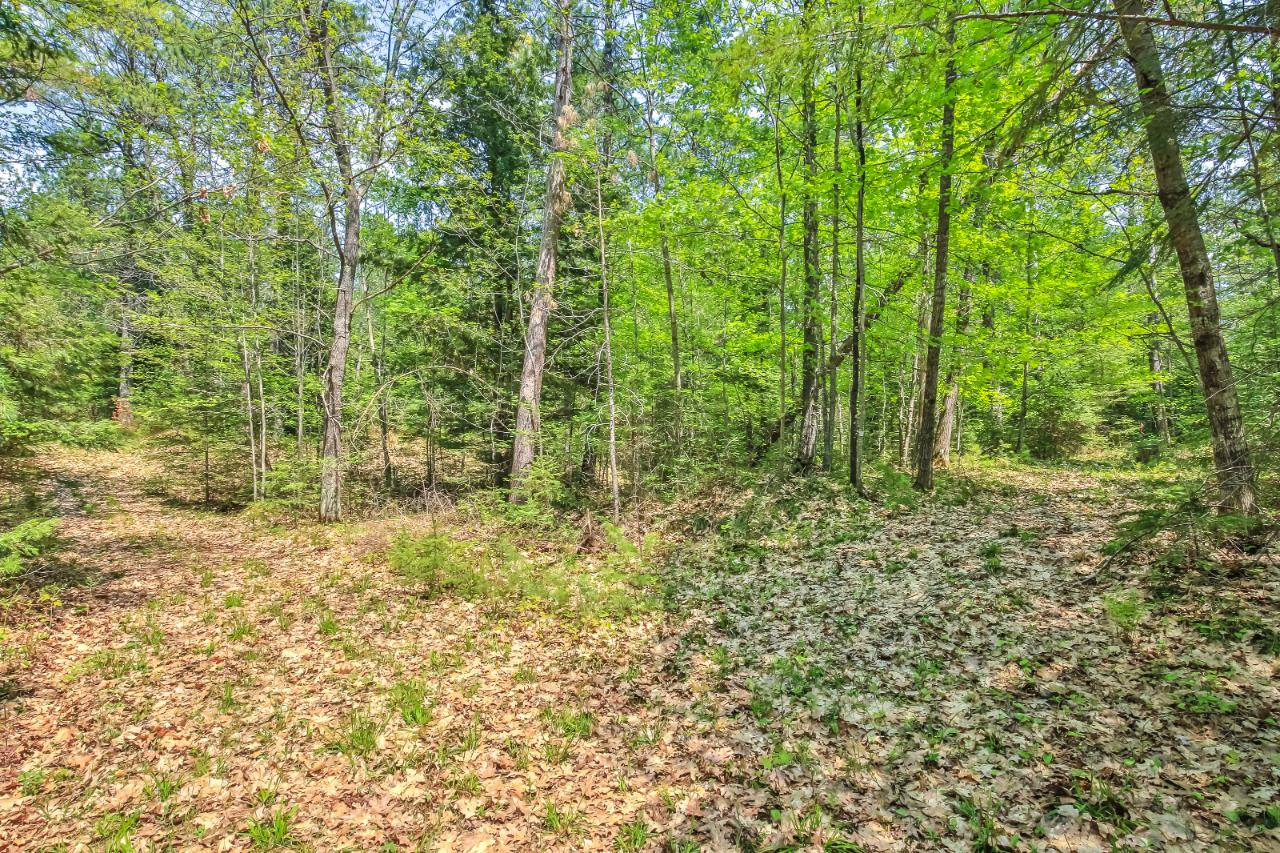 On Squirrel Lake Road, Unit LOT #1 Minocqua, WI 54548 - Photo 13 of 15 Gallery Image 13