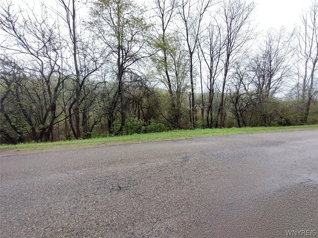 Bozard Hill Road Great Valley, NY 14741 - Photo 1 of 8