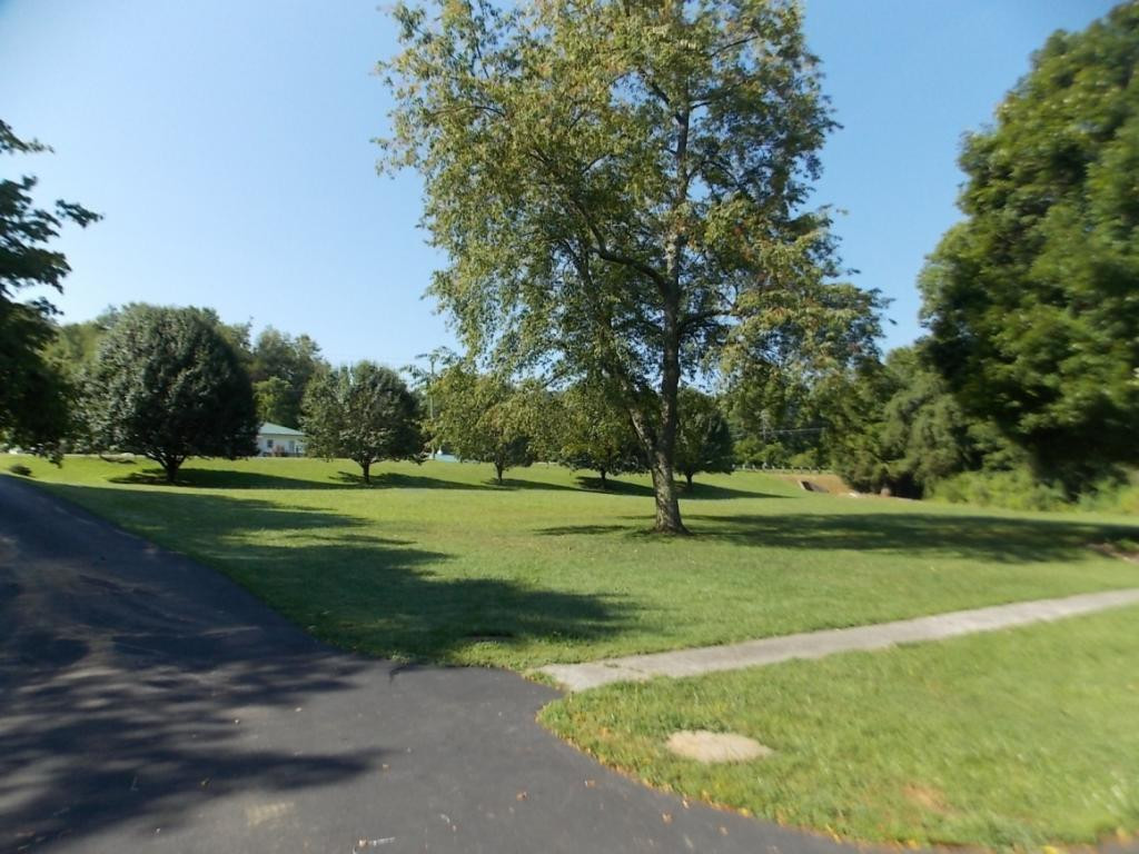 2384 Hickory Tree Road Bluff City, TN 37618 - Photo 8 of 34 Photo 8