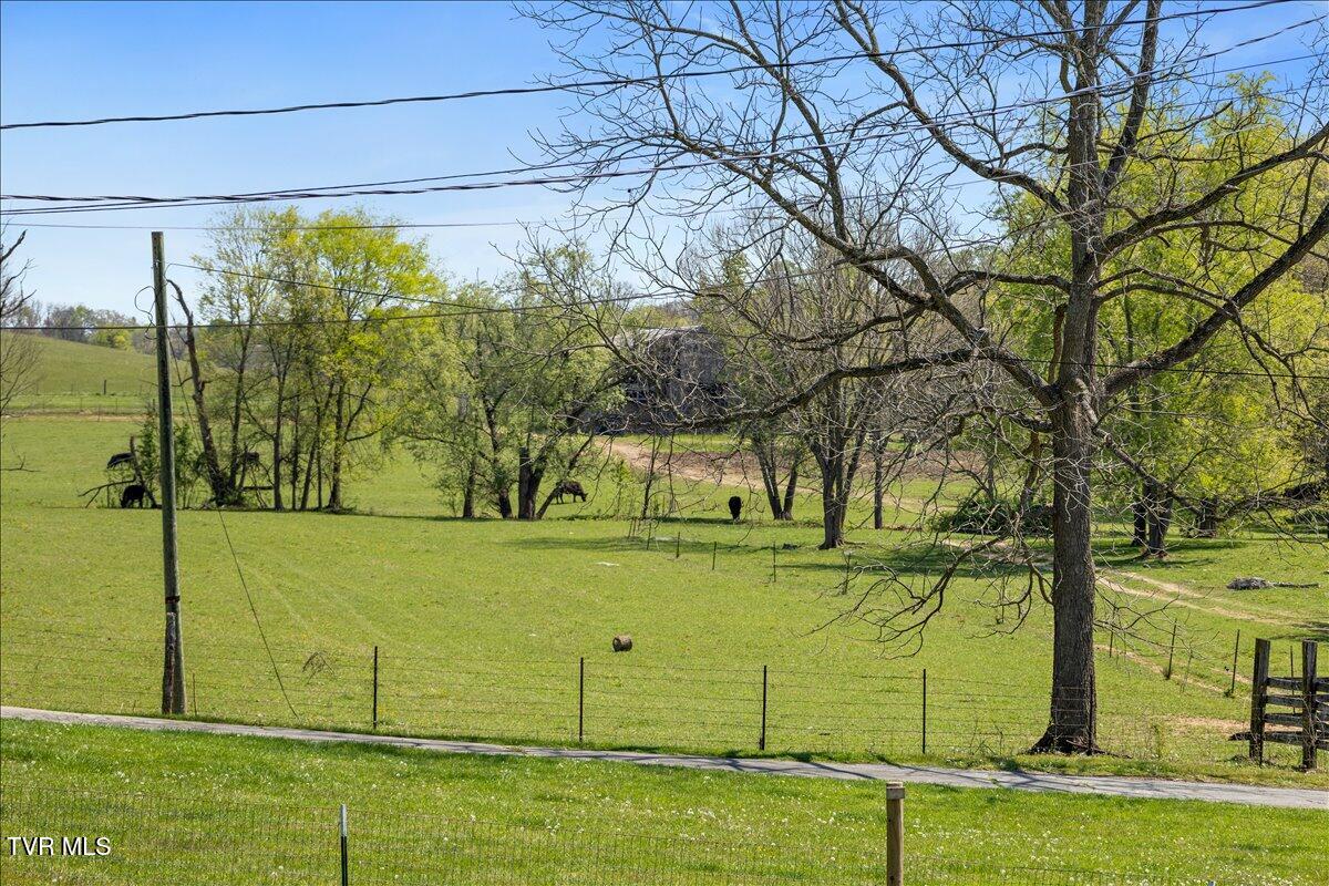 151 Chalk Level Road Telford, TN 37690 - Photo 45 of 51 06-128A2468